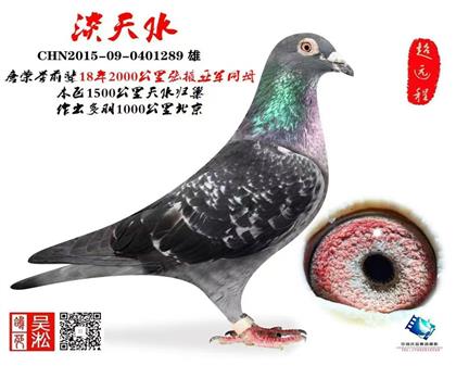 ���͸룺ȫ���ɽ�������ߵ�