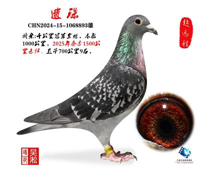 ����С����ھ�����