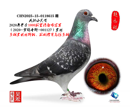 ����С����ǧ����ھ�ȫ��