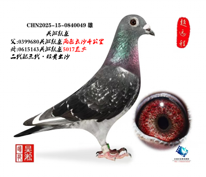 ����Ծ������ǧ����ֱ��