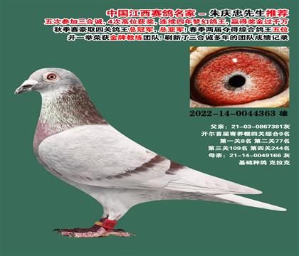 ���ϴ��� ��������9��ֱ��-0044363