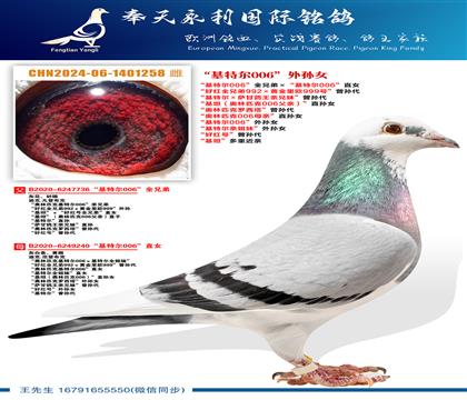 �����ض�006��ȫ�ֵܡ������ض�006��ֱŮ ���ú�ȫ�ֵ�9