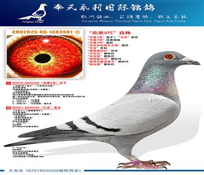 ������.���ס��ܻ�3�š�ֱ�ӡ���������ֱŮ ���ܻ�3�š�����