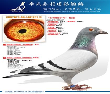 ���.�޽�.̩˹Ѫϵ ���ײ�����š�ֱ�ӡ����ڰ�Ħ��������Ů