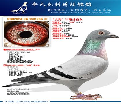 ��.�������������޺š�ֱ������󱼡������ ��ȫ�����ޡ�ֱ��