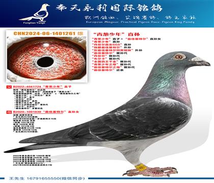 �ϻ�-�����ա�������ꡱֱ�� �������ֱŮ668��ֱ�� ����