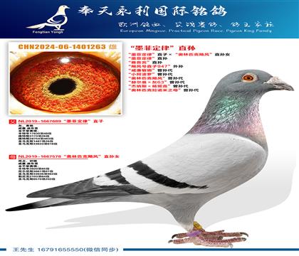 ����.�ϲ�����ī�ƶ��ɡ�ֱ�� ���Ÿ�����ֱ�� ��쫷��ֱ��9