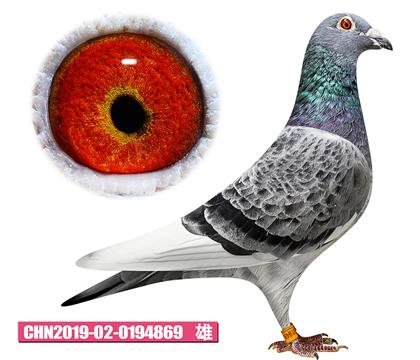 ��˹��-��Ӱս��869