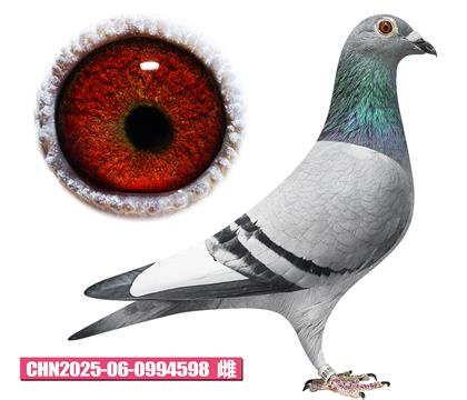 ���ǲ���-���ض�С��598