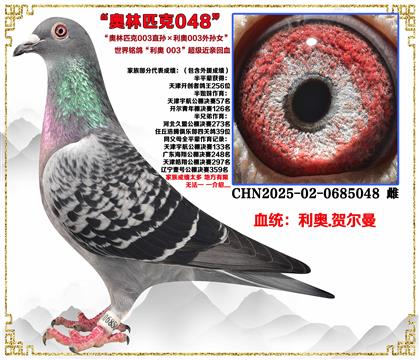 ����.�ض���˹��003ֱ���003����Ů�����ؽ��׻�Ѫ