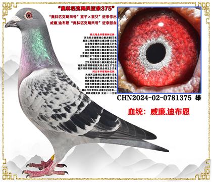 ����.�ϲ���������ƥ��쫷�š���ֱ�ӡ�ֱŮ�����׻�Ѫ