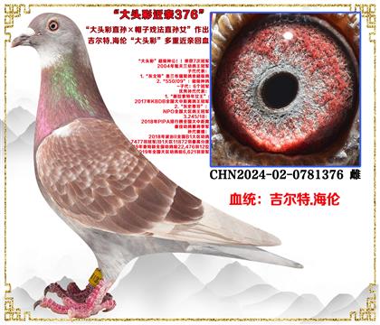 ������.���ס���ͷ��ֱ���ñ��Ϸ��ֱ��Ů������