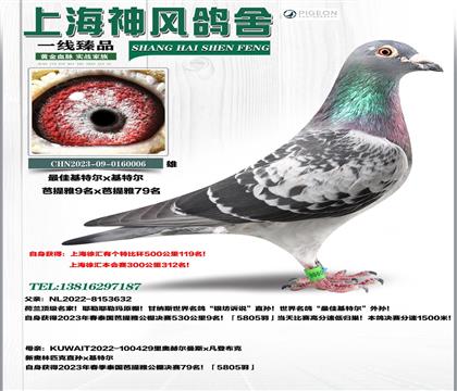 �����룡��ѻ��ض�������9���Ӵ�