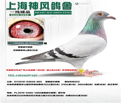 ��ºն���˹����������x�Ϸ�36��