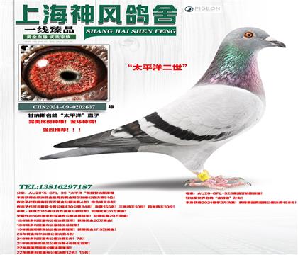 ����˹����̫ƽ��ֱ��