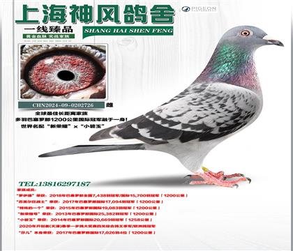 ��ѳ���������ҫ