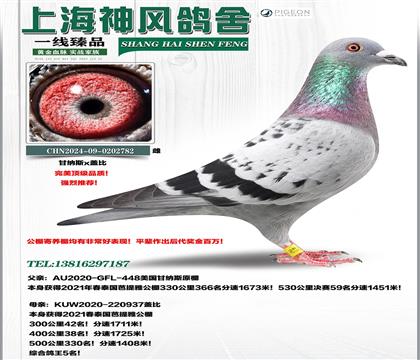 �����Ÿ���5���Ӵ�