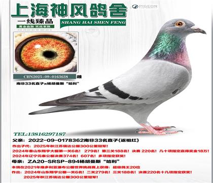 �Ϸ�33ֱ��x��������20