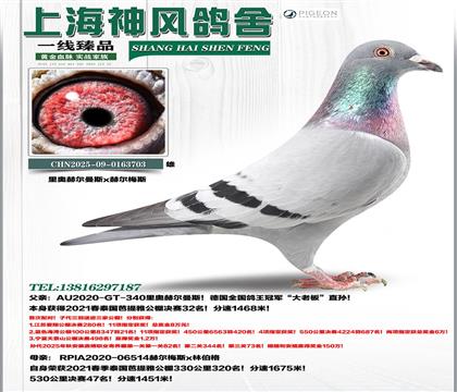 ������32��x47��