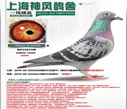 �Ϸ�33����Ů���Ѫ