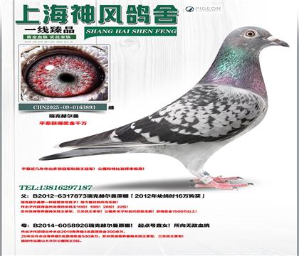 ǧ�򽱽���˺ն����ƽ��