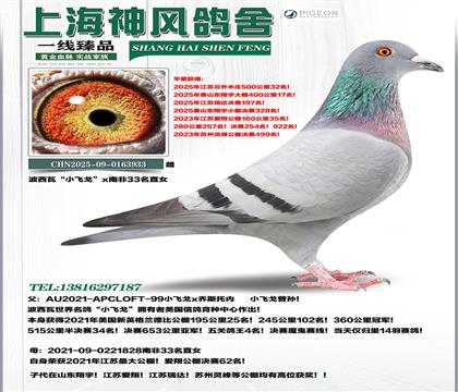 С�ɸ�±ȹ����Ǿ�x�Ϸ�33��ֱŮ