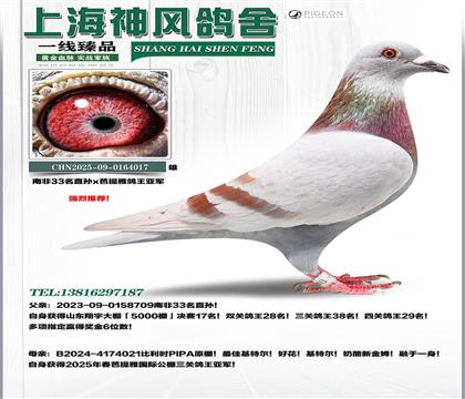 �Ϸ�33������17��x�����Ÿ����Ǿ�