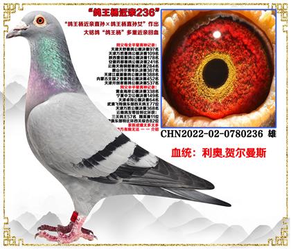 ���¡�������ֱ���������ֱ��Ů�����ؽ��׻�Ѫ