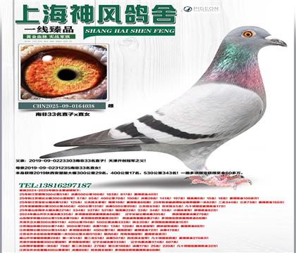 �Ϸ�33����Ů���Ѫ