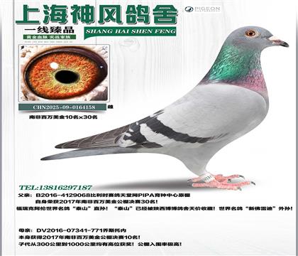 �Ϸǰ�������10��ֱŮ