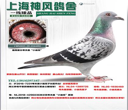 ������С�Ͽ�ֱ��x��������������