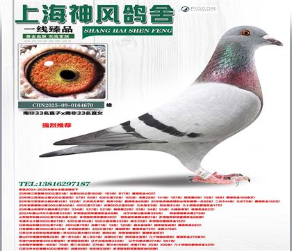 �Ϸ�33����Ů���Ѫ