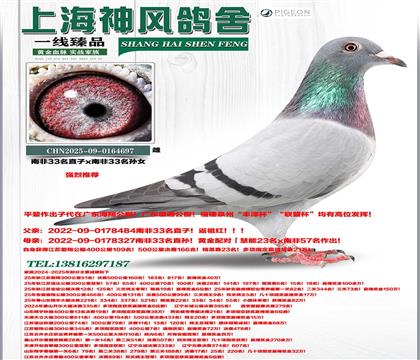 �Ϸ�33��ֱ��x�Ϸ�33����Ů