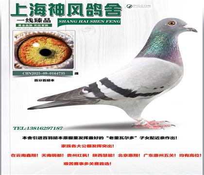 ���������߶����Ѫ