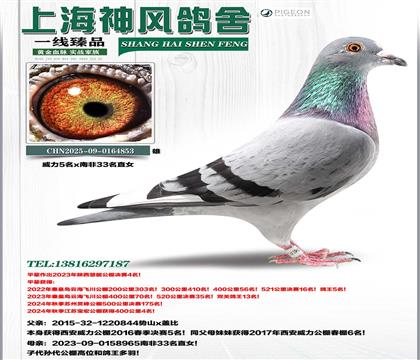 ����5��x�Ϸ�33ֱŮ