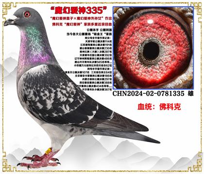 ��ƿˡ�ħ�ð���ֱ�ӡ�ħ�ð�������Ů����������