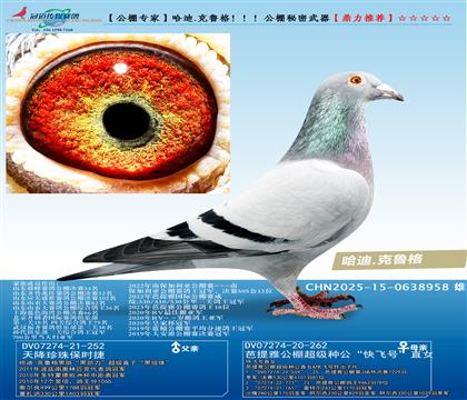 ����.��³�� ������������