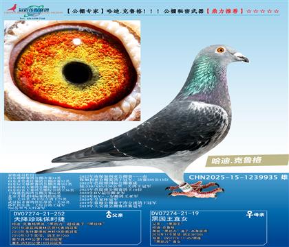 ����.��³�񣡣���������������