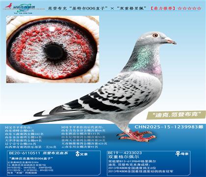 ���ǲ��ˡ����ض�006ֱ�ӡ�����˫�ظ����塱