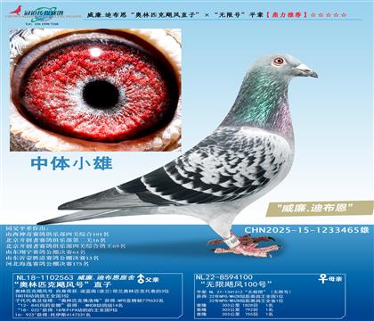 ����.�ϲ���������ƥ��쫷�ֱ�ӡ��������޺š�ƽ��