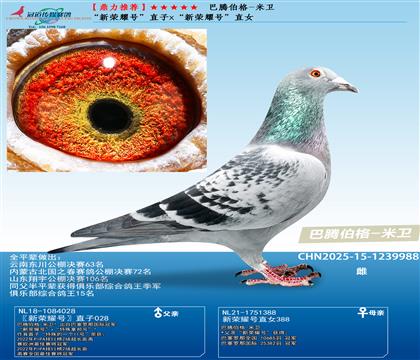 ������ҫ�š�ֱ��x������ҫ�š�ֱŮ