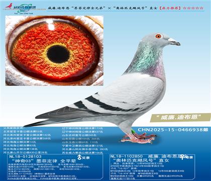 ����.�ϲ�����ī�ƶ���ȫ�ֵܡ���������ƥ��쫷�š�ֱŮ