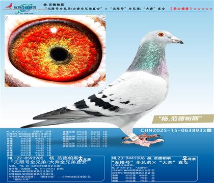 ���޺�ȫ�ֵ�/��ȫ�ֵ�ֱŮ���������޺š�ȫ�ֵ�/���󱼡�ֱ