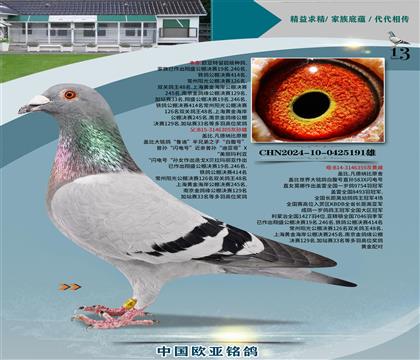 �Ǳ�ԭ��³��305X�ʼһ�359