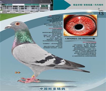 ����ԭʼ03����073X��ֱ��Ů063