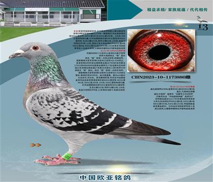 ����851ֱ��622�ھ�X�Ǳ�600��������740