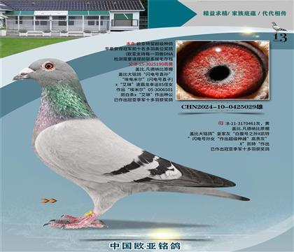 �Ǳ�ԭ�������ֱ��190X�ʼһ�ֱŮ461