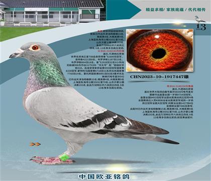 �Ǳ�ԭ�ả����143X�ʼһ�ֱŮ334