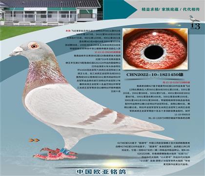 ղɭԭ��345Xղɭ�ϰ���733