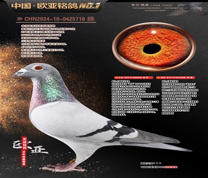 �Ǳ�ԭ��³��ֱ��030X�������ֱŮ398